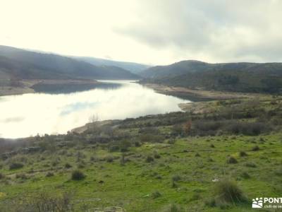 Ruta y Comida de Navidad;Mariposa Graellsia isabellae; costa ártabra floracion de cieza rutas sender